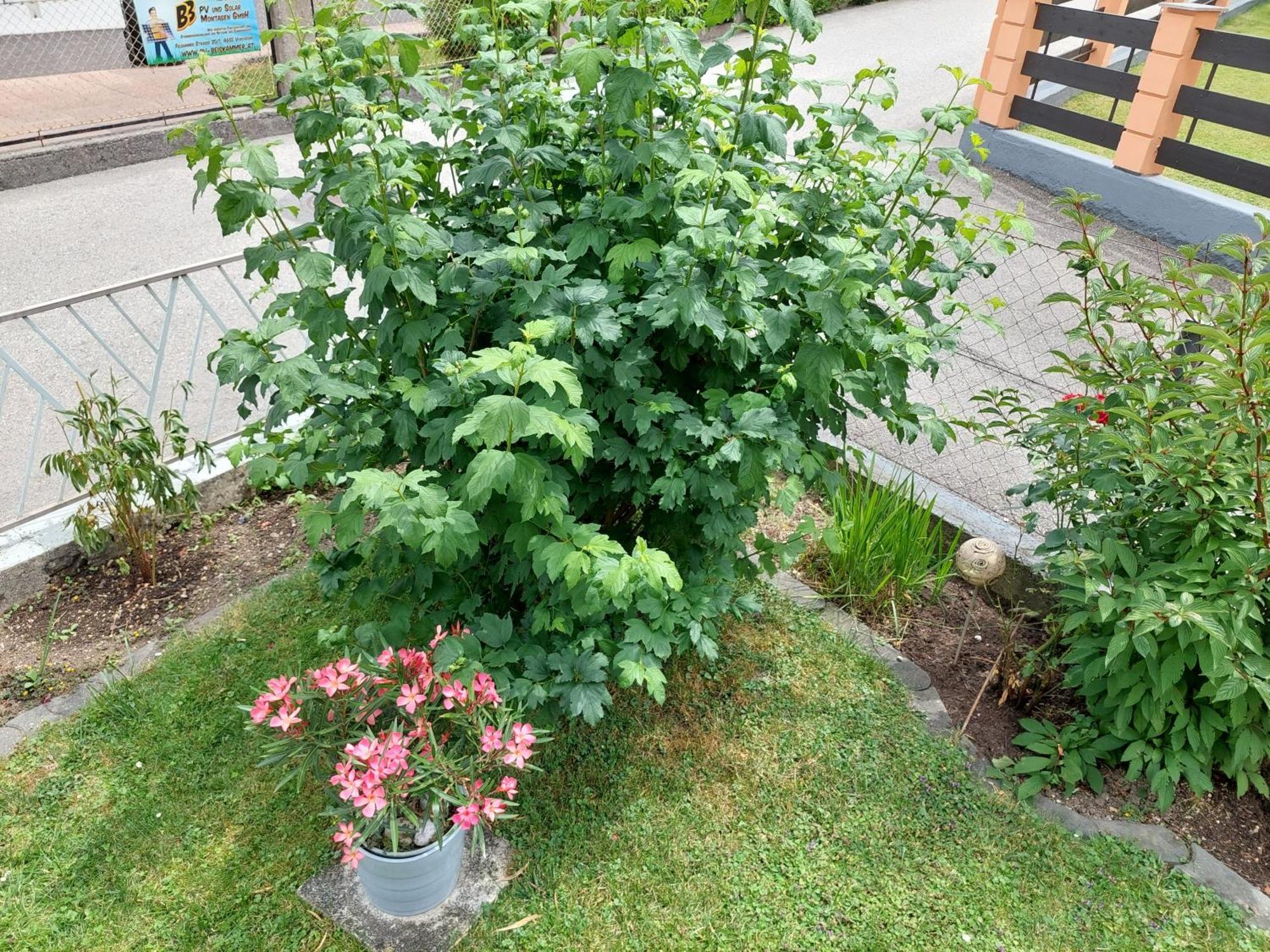 Wohnung Mit Charme In Pinsdorf Buitenkant foto